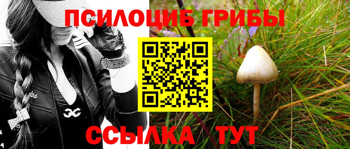 Галлюциногенные грибы Magic Shrooms  Вход с VPN  Канск 