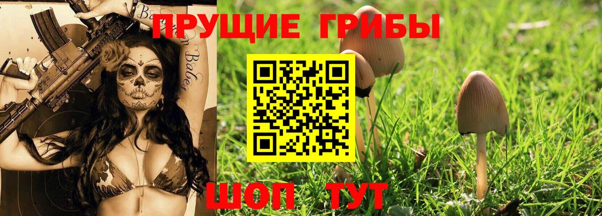 Псилоцибиновые грибы прущие грибы Канск
